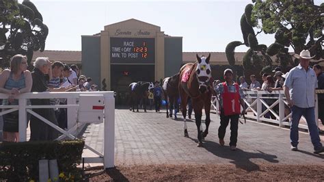 equibase harness racing results